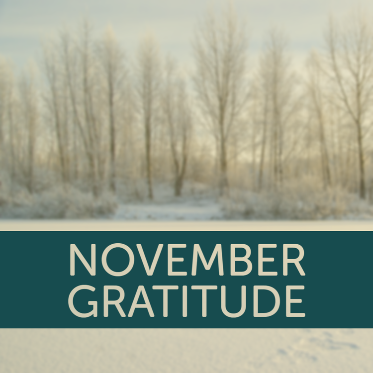 Gratitude and What's Ahead