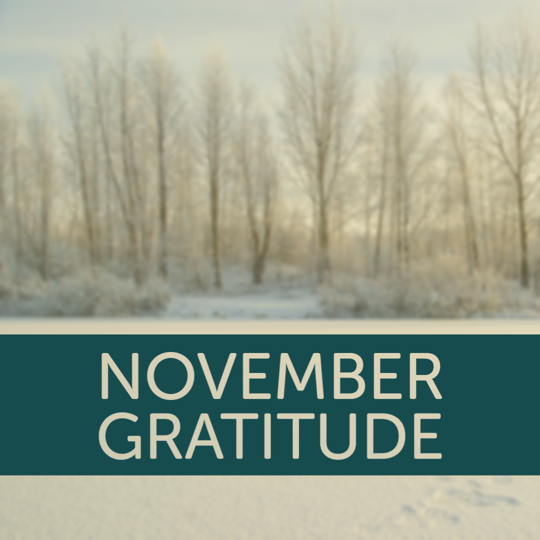 Gratitude and What's Ahead